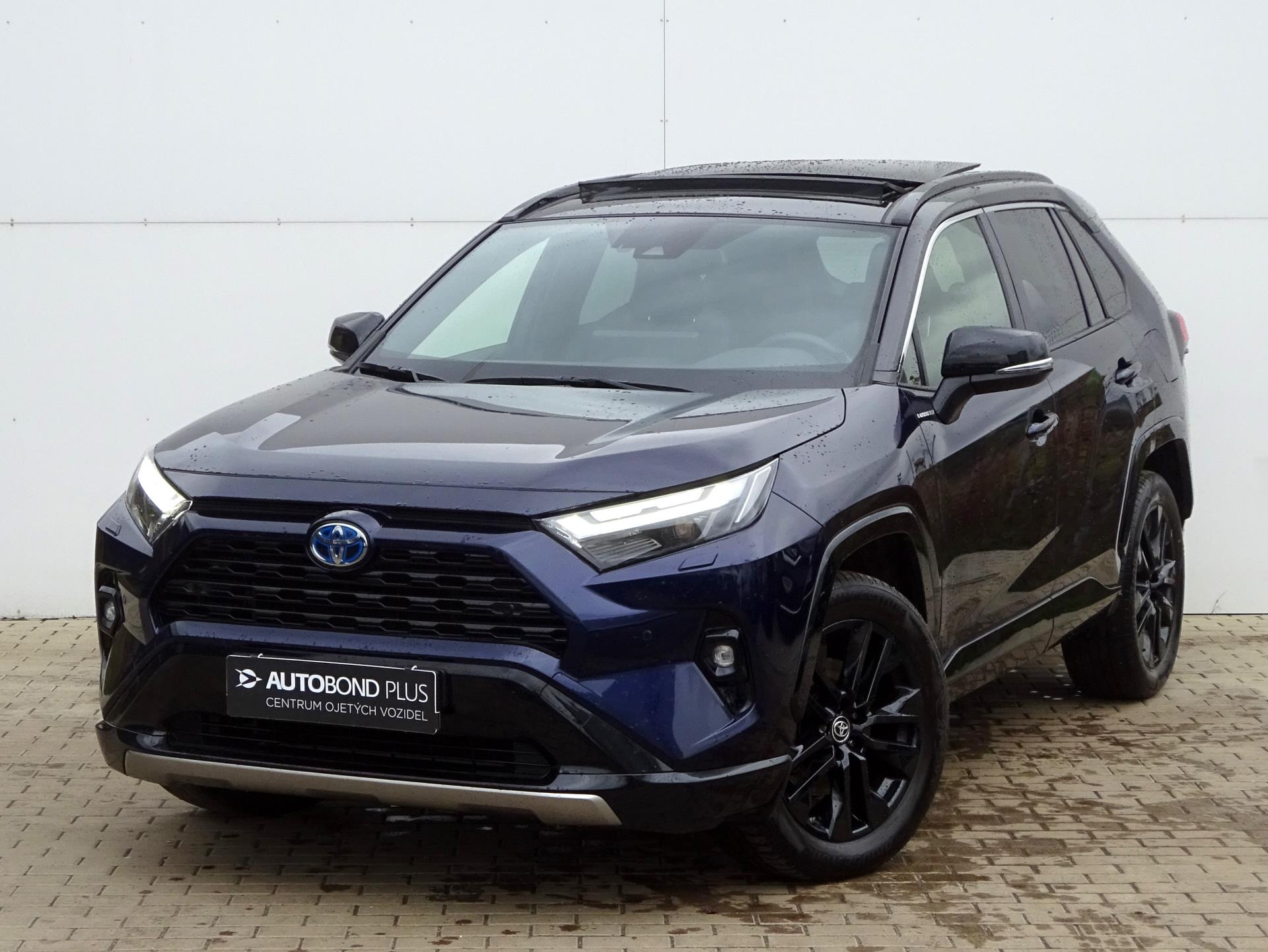 Toyota RAV4 2.5 HSD e-CVT AWD Selectio Skyview