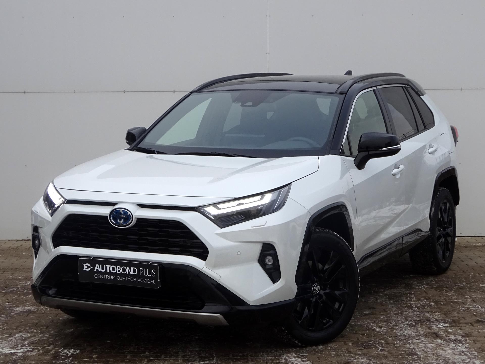 Toyota RAV4 2.5 HSD e-CVT AWD Sele. Skyview