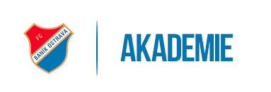 Logo partnera